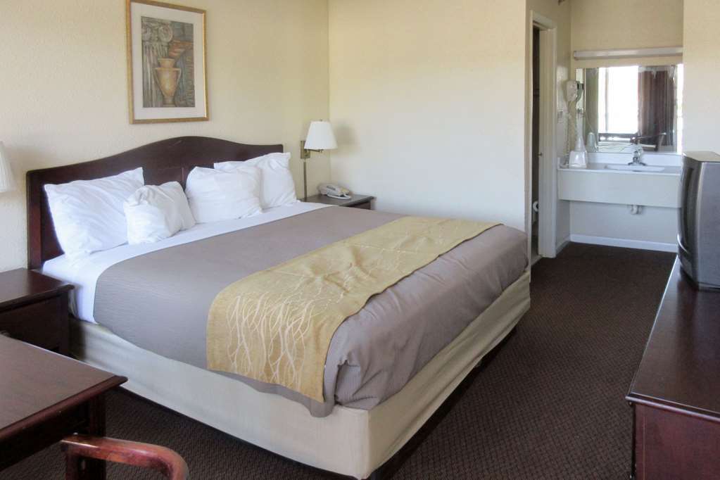 Quality Inn & Suites Pawleys Island Pokój zdjęcie